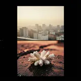 Bleeding Coral 2 by The Lagos Sons — House Mellow cover art on WeavyAudio