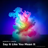 Say It Like You Mean It by Junior & Wren — Indie Nostalgic cover art on WeavyAudio
