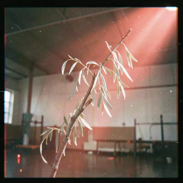 Chasing the Detonation 2 – Silver Willow, okładka