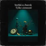 Tylko ciemność by Szybki & Zmrok — Phonk (drift-phonk) Melancholic cover art on WeavyAudio