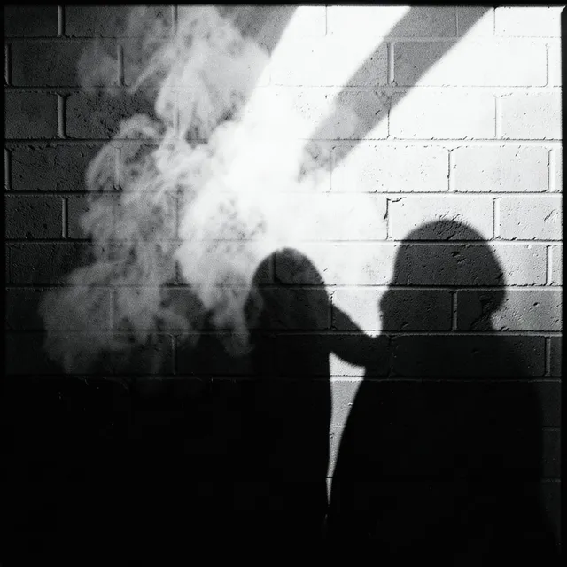 Static Between Our Shadows 2 – Mzansi Static, okładka