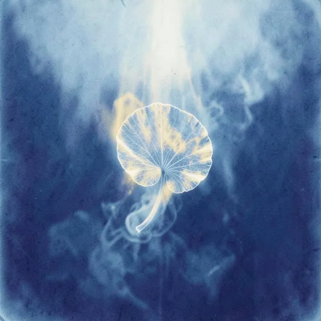 Lost in the Haze of You – Cascade & Bloom, okładka