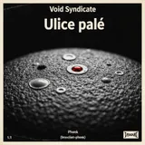 Ulice palą by Void Syndicate — Phonk (brazilian-phonk) Dark cover art on WeavyAudio