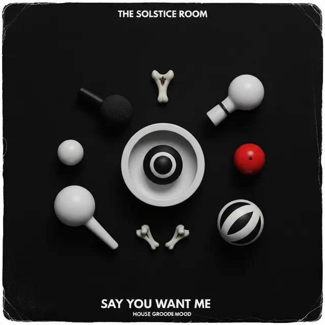 Say You Want Me – The Solstice Room, okładka