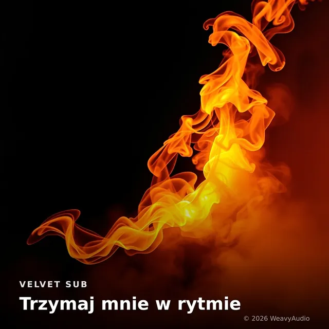 Trzymaj mnie w rytmie – Velvet Sub, okładka