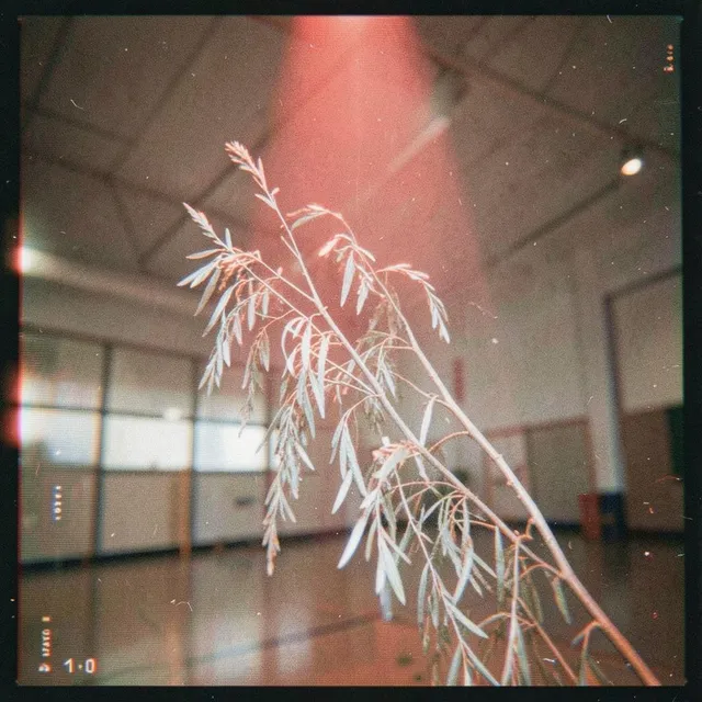 Chasing the Detonation – Silver Willow, okładka