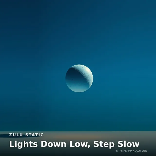 Lights Down Low, Step Slow – Zulu Static, okładka