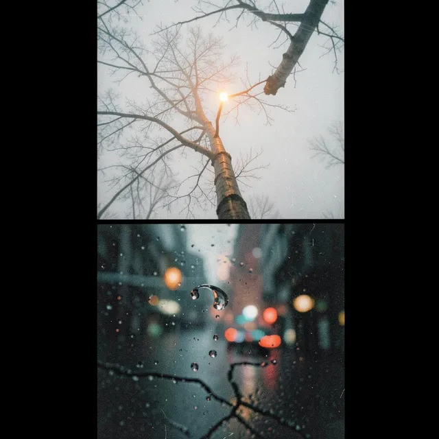 Vertigo Willow 2 – Blitz Storm, okładka