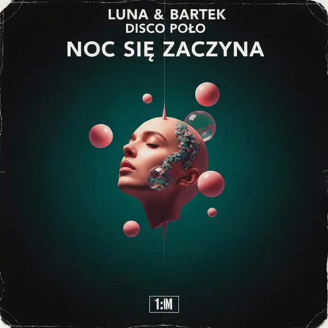 Noc Się Zaczyna – Luna & Bartek, okładka