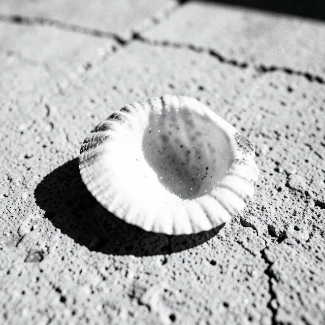 Hollow Bones in the Sun 2 – Solstice & Echo, okładka