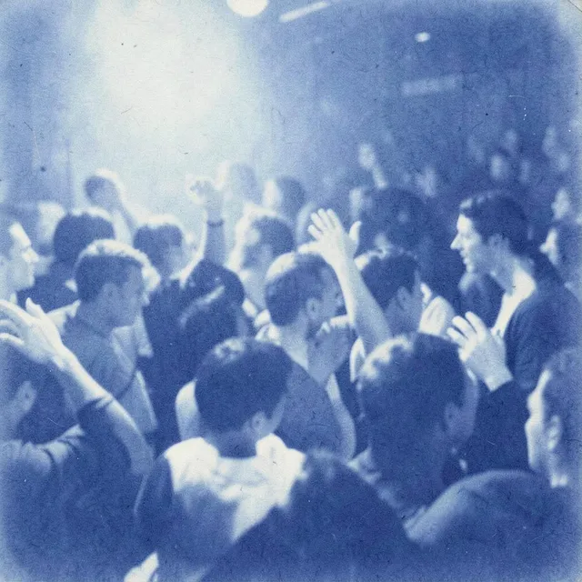 Skin on skin, closer now 2 – The Velvet Circuits, okładka